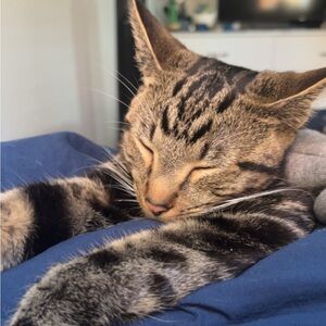 Meet your Posher, Caitlin